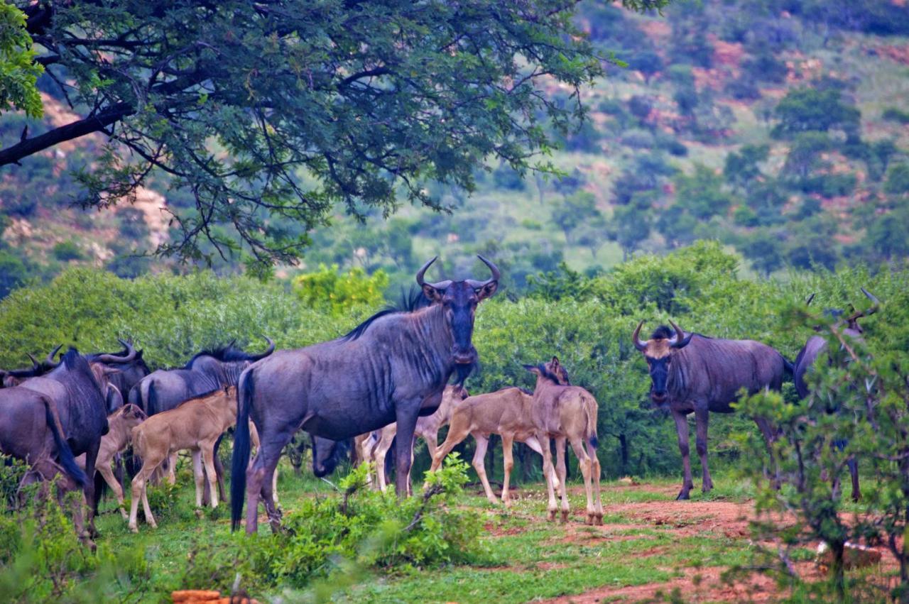 Kedar Heritage Lodge, Conference Centre & Spa Phokeng Eksteriør billede